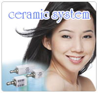ceramic system